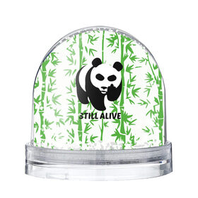 Снежный шар с принтом Still Alive в Кировске, Пластик | Изображение внутри шара печатается на глянцевой фотобумаге с двух сторон | alive | bamboo | green | greenpeace | panga | peace | still | бамбук | грин | гринпис | живая | живой | зеленый | мир | панда | панды | пис