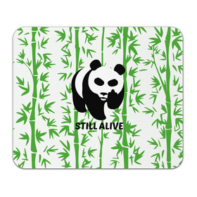 Коврик для мышки прямоугольный с принтом Still Alive в Кировске, натуральный каучук | размер 230 х 185 мм; запечатка лицевой стороны | Тематика изображения на принте: alive | bamboo | green | greenpeace | panga | peace | still | бамбук | грин | гринпис | живая | живой | зеленый | мир | панда | панды | пис
