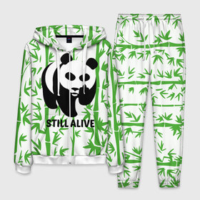 Мужской костюм 3D с принтом Still Alive в Кировске, 100% полиэстер | Манжеты и пояс оформлены тканевой резинкой, двухслойный капюшон со шнурком для регулировки, карманы спереди | alive | bamboo | green | greenpeace | panga | peace | still | бамбук | грин | гринпис | живая | живой | зеленый | мир | панда | панды | пис