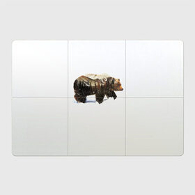 Магнитный плакат 3Х2 с принтом Лесной Медведь в Кировске, Полимерный материал с магнитным слоем | 6 деталей размером 9*9 см | Тематика изображения на принте: bear | bears | forest | snow | tree | trees | winter | гора | горы | деревья | зима | лес | лесной | медведи | медведь | мишка | мишки | снег