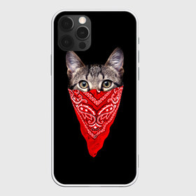 Чехол для iPhone 12 Pro Max с принтом Gangsta Cat в Кировске, Силикон |  | cat | cats | gangsta | kitten | kitty | pussy | гангстер | кот | котенок | котик | котики | коты | котята | кошка | кошки | платок