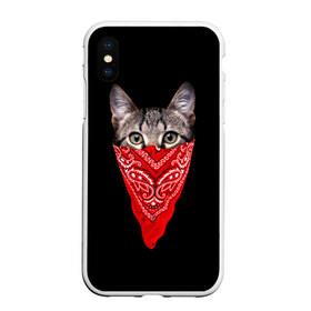 Чехол для iPhone XS Max матовый с принтом Gangsta Cat в Кировске, Силикон | Область печати: задняя сторона чехла, без боковых панелей | Тематика изображения на принте: cat | cats | gangsta | kitten | kitty | pussy | гангстер | кот | котенок | котик | котики | коты | котята | кошка | кошки | платок