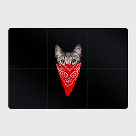 Магнитный плакат 3Х2 с принтом Gangsta Cat в Кировске, Полимерный материал с магнитным слоем | 6 деталей размером 9*9 см | Тематика изображения на принте: cat | cats | gangsta | kitten | kitty | pussy | гангстер | кот | котенок | котик | котики | коты | котята | кошка | кошки | платок