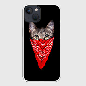 Чехол для iPhone 13 с принтом Gangsta Cat в Кировске,  |  | Тематика изображения на принте: cat | cats | gangsta | kitten | kitty | pussy | гангстер | кот | котенок | котик | котики | коты | котята | кошка | кошки | платок