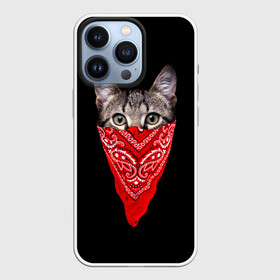 Чехол для iPhone 13 Pro с принтом Gangsta Cat в Кировске,  |  | Тематика изображения на принте: cat | cats | gangsta | kitten | kitty | pussy | гангстер | кот | котенок | котик | котики | коты | котята | кошка | кошки | платок