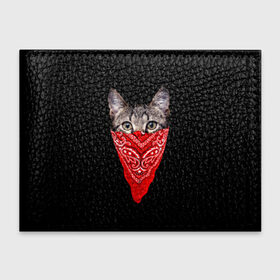 Обложка для студенческого билета с принтом Gangsta Cat в Кировске, натуральная кожа | Размер: 11*8 см; Печать на всей внешней стороне | cat | cats | gangsta | kitten | kitty | pussy | гангстер | кот | котенок | котик | котики | коты | котята | кошка | кошки | платок