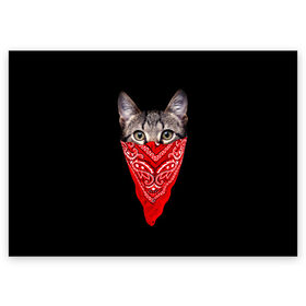Поздравительная открытка с принтом Gangsta Cat в Кировске, 100% бумага | плотность бумаги 280 г/м2, матовая, на обратной стороне линовка и место для марки
 | cat | cats | gangsta | kitten | kitty | pussy | гангстер | кот | котенок | котик | котики | коты | котята | кошка | кошки | платок