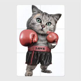 Магнитный плакат 2Х3 с принтом Кот боксёр в Кировске, Полимерный материал с магнитным слоем | 6 деталей размером 9*9 см | Тематика изображения на принте: боец | бокс | боксёр | кот | котёнок | кошак | кошка | кулак | спорт | шорты