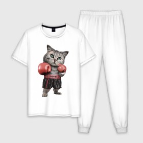 Мужская пижама хлопок с принтом Кот боксёр в Кировске, 100% хлопок | брюки и футболка прямого кроя, без карманов, на брюках мягкая резинка на поясе и по низу штанин
 | Тематика изображения на принте: боец | бокс | боксёр | кот | котёнок | кошак | кошка | кулак | спорт | шорты