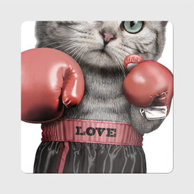 Магнит виниловый Квадрат с принтом Кот боксёр в Кировске, полимерный материал с магнитным слоем | размер 9*9 см, закругленные углы | боец | бокс | боксёр | кот | котёнок | кошак | кошка | кулак | спорт | шорты