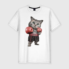 Мужская футболка премиум с принтом Кот боксёр в Кировске, 92% хлопок, 8% лайкра | приталенный силуэт, круглый вырез ворота, длина до линии бедра, короткий рукав | боец | бокс | боксёр | кот | котёнок | кошак | кошка | кулак | спорт | шорты