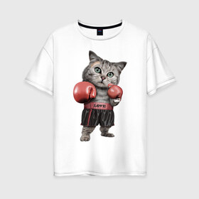 Женская футболка хлопок Oversize с принтом Кот боксёр в Кировске, 100% хлопок | свободный крой, круглый ворот, спущенный рукав, длина до линии бедер
 | боец | бокс | боксёр | кот | котёнок | кошак | кошка | кулак | спорт | шорты
