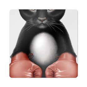 Магнит виниловый Квадрат с принтом Котёнок боксёр в Кировске, полимерный материал с магнитным слоем | размер 9*9 см, закругленные углы | боец | бокс | боксёр | кот | котёнок | кошак | кошка | кулак | спорт | шорты