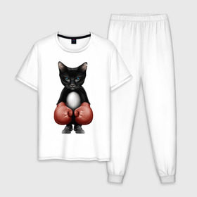 Мужская пижама хлопок с принтом Котёнок боксёр в Кировске, 100% хлопок | брюки и футболка прямого кроя, без карманов, на брюках мягкая резинка на поясе и по низу штанин
 | Тематика изображения на принте: боец | бокс | боксёр | кот | котёнок | кошак | кошка | кулак | спорт | шорты