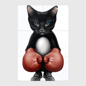 Магнитный плакат 2Х3 с принтом Котёнок боксёр в Кировске, Полимерный материал с магнитным слоем | 6 деталей размером 9*9 см | боец | бокс | боксёр | кот | котёнок | кошак | кошка | кулак | спорт | шорты
