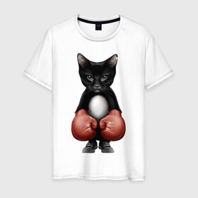 Мужская футболка хлопок с принтом Котёнок боксёр в Кировске, 100% хлопок | прямой крой, круглый вырез горловины, длина до линии бедер, слегка спущенное плечо. | боец | бокс | боксёр | кот | котёнок | кошак | кошка | кулак | спорт | шорты
