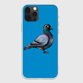 Чехол для iPhone 12 Pro Max с принтом Голубь в Кировске, Силикон |  | bird | birds | dove | doves | fly | wing | wings | голуби | голубь | клюв | когти | крыло | крылышки | крылья | полет | птица | птицы | птичка | птички