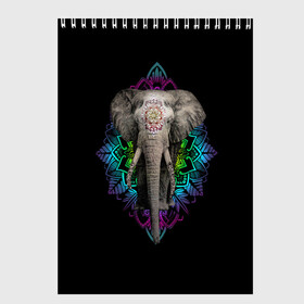 Скетчбук с принтом Индийский Слон в Кировске, 100% бумага
 | 48 листов, плотность листов — 100 г/м2, плотность картонной обложки — 250 г/м2. Листы скреплены сверху удобной пружинной спиралью | Тематика изображения на принте: africa | elephant | elephants | india | ornament | pattern | skin | tusks | африка | бивни | индия | кожа | орнамент | слон | слоненок | слоник | слоники | слоны | слонята | узор | хобот