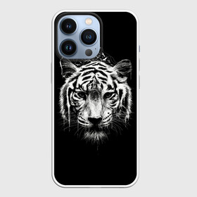 Чехол для iPhone 13 Pro с принтом Dark Tiger в Кировске,  |  | Тематика изображения на принте: africa | creepy | dark | desert | predator | scary | tiger | tigers | африка | жуткий | мрачный | пустыня | страшный | тигр | тигренок | тигрица | тигрицы | тигры | тигрята | хищник