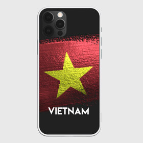 Чехол для iPhone 12 Pro с принтом VIETNAM(Вьетнам) в Кировске, силикон | область печати: задняя сторона чехла, без боковых панелей | Тематика изображения на принте: urban | vietnam | город | мир | путешествие | символика | страны | флаг