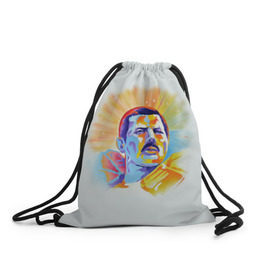 Рюкзак-мешок 3D с принтом Freddie Mercury в Кировске, 100% полиэстер | плотность ткани — 200 г/м2, размер — 35 х 45 см; лямки — толстые шнурки, застежка на шнуровке, без карманов и подкладки | freddie mercury | queen | фредди меркьюри