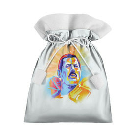 Подарочный 3D мешок с принтом Freddie Mercury в Кировске, 100% полиэстер | Размер: 29*39 см | freddie mercury | queen | фредди меркьюри