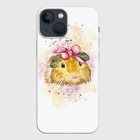 Чехол для iPhone 13 mini с принтом Морская свинка акварелью в Кировске,  |  | акварель | грызун | милота | морская | свинка | хомяк