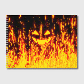 Альбом для рисования с принтом FIRE PUMPKIN в Кировске, 100% бумага
 | матовая бумага, плотность 200 мг. | fire | halloween | искры | огонь | праздник | тыква | хэллоуин