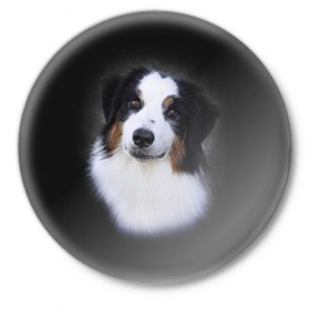 Значок с принтом Собака в Кировске,  металл | круглая форма, металлическая застежка в виде булавки | голова | животные | мордочка | пес | природа | собака | щенок