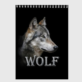 Скетчбук с принтом Wolf в Кировске, 100% бумага
 | 48 листов, плотность листов — 100 г/м2, плотность картонной обложки — 250 г/м2. Листы скреплены сверху удобной пружинной спиралью | волк | животные | мордочка | пес | природа | собака | хищник