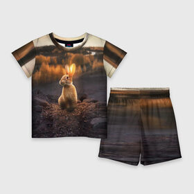 Детский костюм с шортами 3D с принтом Солнечный зайчик в Кировске,  |  | заяц | кролик | лес | пейзаж | поле | природа | пушистый | солнце | уши