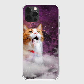 Чехол для iPhone 12 Pro Max с принтом Кот Водопад в Кировске, Силикон |  | cat | meme | party | вечеринка | взрыв | вода | водопад | комос | коты | кошак | кошка | мем