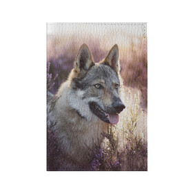 Обложка для паспорта матовая кожа с принтом Волк в Кировске, натуральная матовая кожа | размер 19,3 х 13,7 см; прозрачные пластиковые крепления | Тематика изображения на принте: dog | взгляд | волк | лайка | собака | хаски