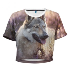 Женская футболка Cropp-top с принтом Волк в Кировске, 100% полиэстер | круглая горловина, длина футболки до линии талии, рукава с отворотами | dog | взгляд | волк | лайка | собака | хаски