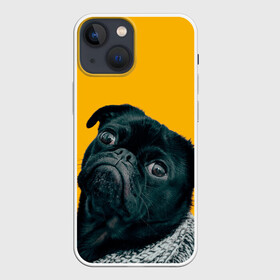 Чехол для iPhone 13 mini с принтом Бульдожка в Кировске,  |  | Тематика изображения на принте: бульдог | паг | пес | собака | черный