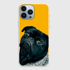 Чехол для iPhone 13 Pro Max с принтом Бульдожка в Кировске,  |  | Тематика изображения на принте: бульдог | паг | пес | собака | черный