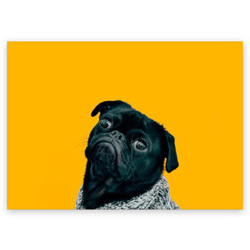 Поздравительная открытка с принтом Бульдожка в Кировске, 100% бумага | плотность бумаги 280 г/м2, матовая, на обратной стороне линовка и место для марки
 | бульдог | паг | пес | собака | черный
