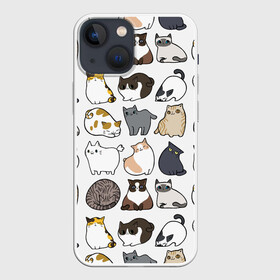 Чехол для iPhone 13 mini с принтом Котики в Кировске,  |  | cat | cats | cute | kitten | kitty | pussy | smile | кот | котенок | котик | котики | коты | котята | кошечка | кошечки | кошка | кошки | милая | милота | милый | полосатый | порода | смеется | улыбается | улыбака | улыбка