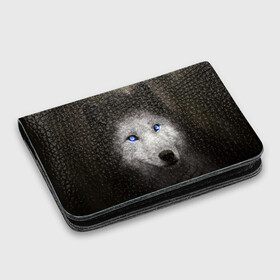 Картхолдер с принтом с принтом Голубоглазый волк в Кировске, натуральная матовая кожа | размер 7,3 х 10 см; кардхолдер имеет 4 кармана для карт; | волк | глаза | охотник | серый | хищник