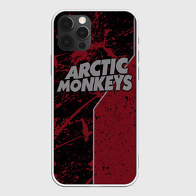 Чехол для iPhone 12 Pro с принтом Arctic Monkeys в Кировске, силикон | область печати: задняя сторона чехла, без боковых панелей | британская | гараж | группа | инди рок | метал | ню | постпанк | психоделический | рок | хай грин | электроник