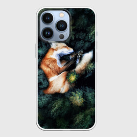 Чехол для iPhone 13 Pro с принтом Лисичка в Лесу в Кировске,  |  | core | cute | forest | fox | foxes | ginger | world | деревья | забавная | зелень | кино | лес | лис | лиса | лисица | лисицы | лисичка | лисички | лист | листва | лисы | милая | мира | рыжая | рыжие | сердце | смешная | фильм | фыр