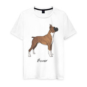 Мужская футболка хлопок с принтом Немецкий Боксер в Кировске, 100% хлопок | прямой крой, круглый вырез горловины, длина до линии бедер, слегка спущенное плечо. | boxer | dog | боксёр | собака | собака боксер | собаки