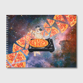 Альбом для рисования с принтом Кот Диджей в Кировске, 100% бумага
 | матовая бумага, плотность 200 мг. | cat | cosmos | dj | fast | fastfood | food | meme | party | pizza | space | вечеринка | диджей | еда | космос | кошак | кошка | мем | пицца | фастфуд
