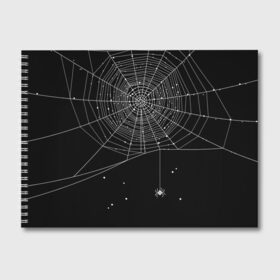 Альбом для рисования с принтом Паутина в Кировске, 100% бумага
 | матовая бумага, плотность 200 мг. | вода | день мертвых | дизайнерская | искусство | капли | картинка | круто | лучший | мексика | мода | молодёжная | мрак | насекомое | ночь | паук | паутина | подарок | поздравление | праздник | рисунок