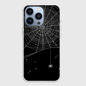 Чехол для iPhone 13 Pro с принтом Паутина в Кировске,  |  | вода | день мертвых | дизайнерская | искусство | капли | картинка | круто | лучший | мексика | мода | молодёжная | мрак | насекомое | ночь | паук | паутина | подарок | поздравление | праздник | рисунок