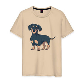 Мужская футболка хлопок с принтом Такса в Кировске, 100% хлопок | прямой крой, круглый вырез горловины, длина до линии бедер, слегка спущенное плечо. | dachshund | собака | собаки | такса | таксы