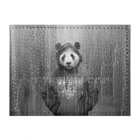 Обложка для студенческого билета с принтом Панда в Кировске, натуральная кожа | Размер: 11*8 см; Печать на всей внешней стороне | дождь | животные | капюшон | кофта | медведь | мишка | панда | природа | хипстер