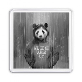 Магнит 55*55 с принтом Панда в Кировске, Пластик | Размер: 65*65 мм; Размер печати: 55*55 мм | Тематика изображения на принте: дождь | животные | капюшон | кофта | медведь | мишка | панда | природа | хипстер