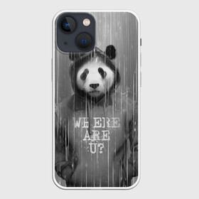 Чехол для iPhone 13 mini с принтом Панда в Кировске,  |  | дождь | животные | капюшон | кофта | медведь | мишка | панда | природа | хипстер