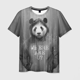 Мужская футболка 3D с принтом Панда в Кировске, 100% полиэфир | прямой крой, круглый вырез горловины, длина до линии бедер | Тематика изображения на принте: дождь | животные | капюшон | кофта | медведь | мишка | панда | природа | хипстер